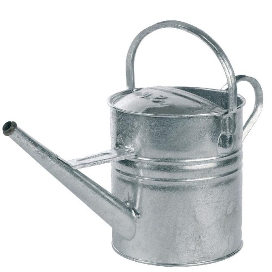 Watering Can Only 2 Gallon Galvanised