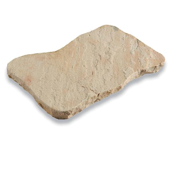 Natural Sandstone Fossil Buff Stepping
